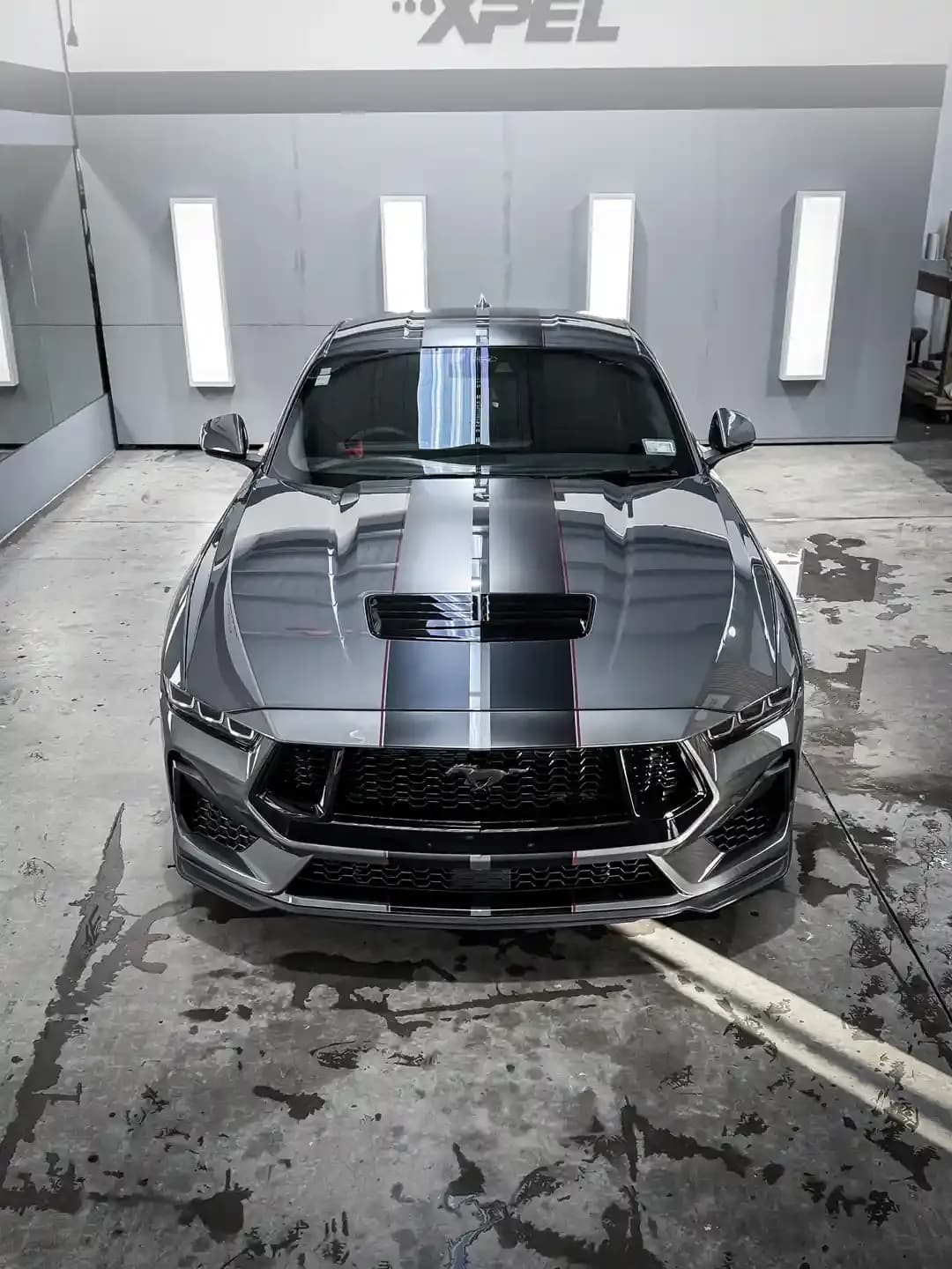 Mustang paint protection film installation